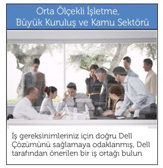 Orta Ölçekli İşletme, Büyük Kuruluş ve Kamu Sektörü